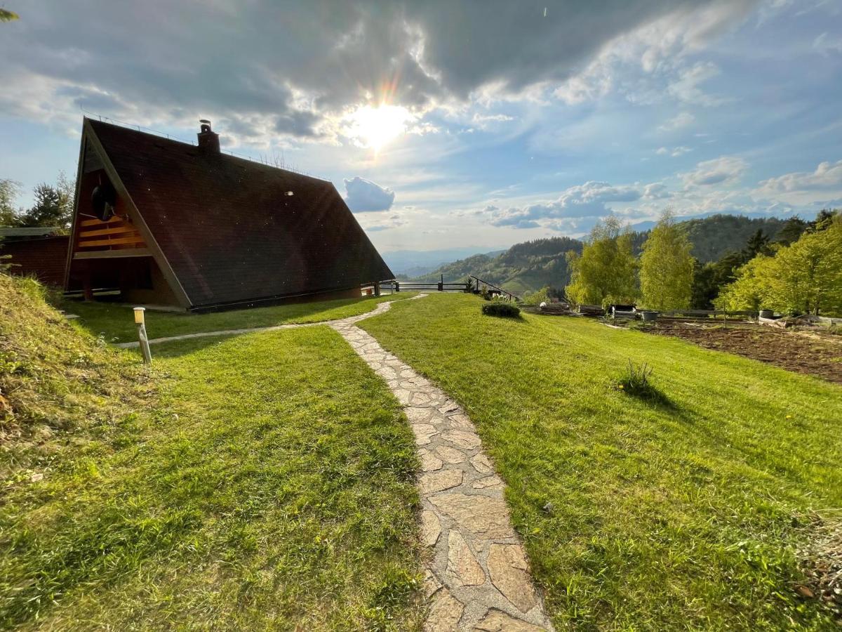 Mountain View Cottage Kamnik Kültér fotó