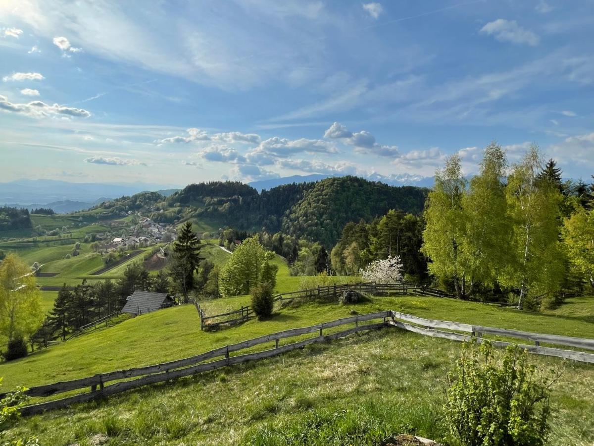 Mountain View Cottage Kamnik Kültér fotó