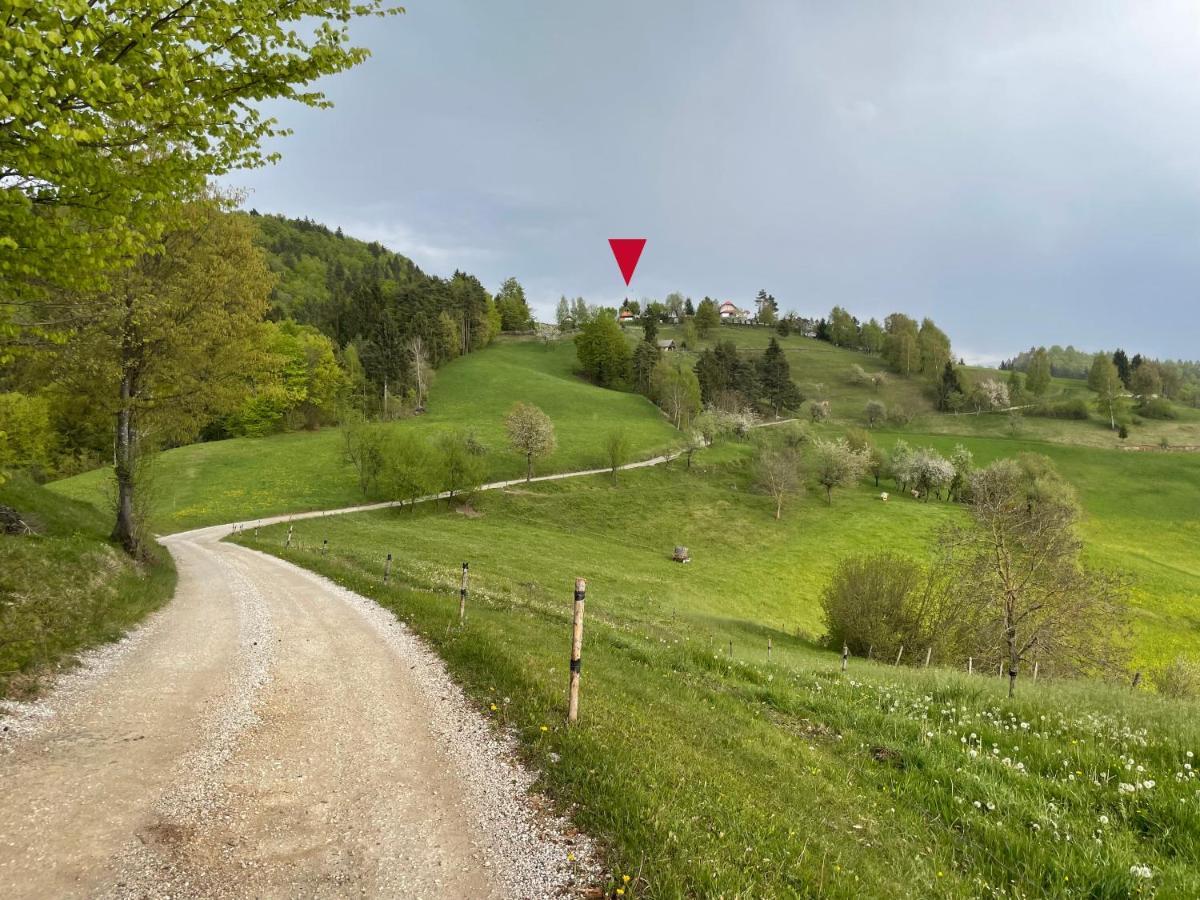 Mountain View Cottage Kamnik Kültér fotó